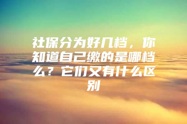 社保分为好几档，你知道自己缴的是哪档么？它们又有什么区别