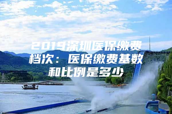 2019深圳医保缴费档次：医保缴费基数和比例是多少