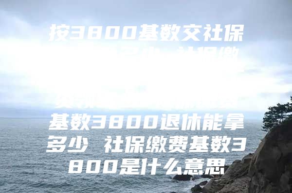 按3800基数交社保退休金多少 社保缴费基数3800退休工资领多少 社保缴费基数3800退休能拿多少 社保缴费基数3800是什么意思