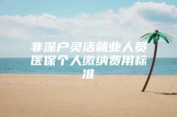 非深户灵活就业人员医保个人缴纳费用标准