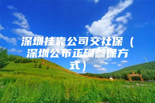 深圳挂靠公司交社保（深圳公布正确参保方式）