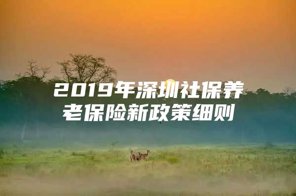 2019年深圳社保养老保险新政策细则