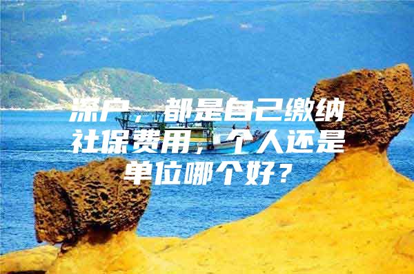 深户，都是自己缴纳社保费用，个人还是单位哪个好？