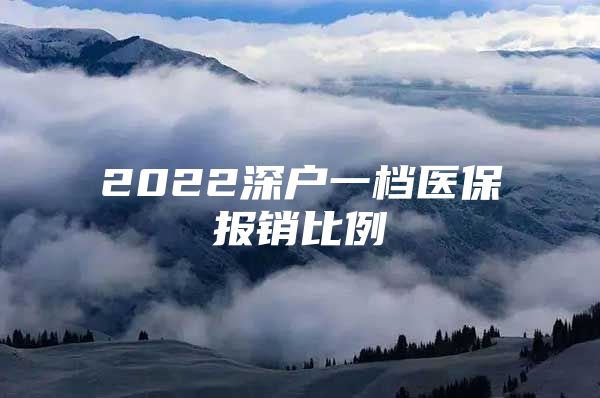 2022深户一档医保报销比例