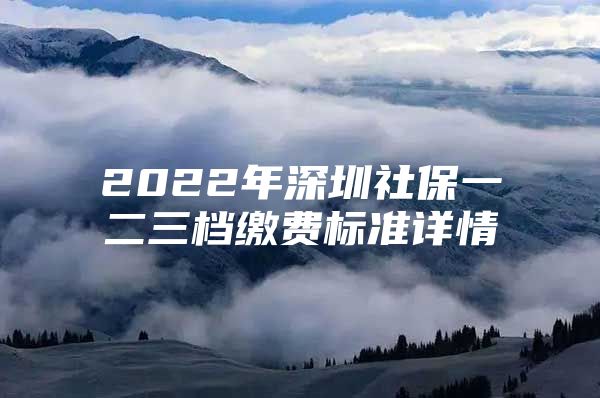 2022年深圳社保一二三档缴费标准详情