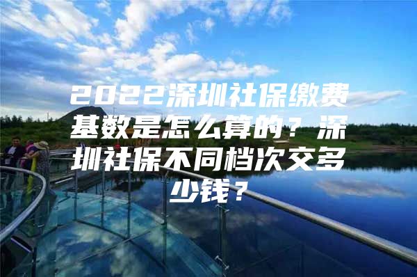 2022深圳社保缴费基数是怎么算的？深圳社保不同档次交多少钱？