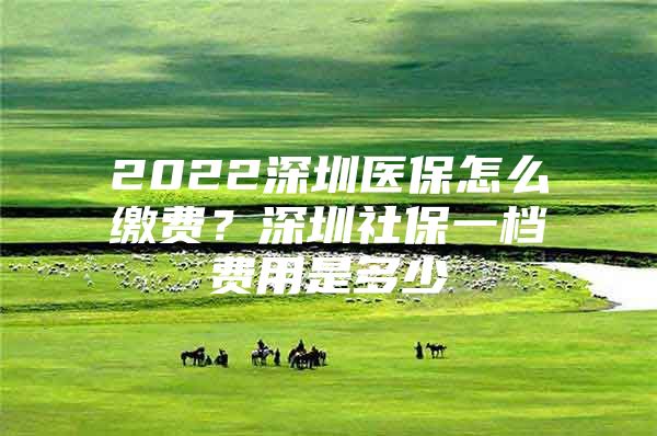 2022深圳医保怎么缴费？深圳社保一档费用是多少