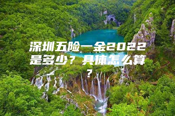 深圳五险一金2022是多少？具体怎么算？