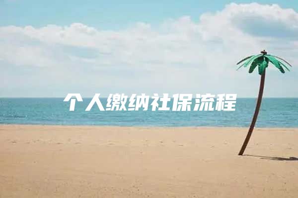 个人缴纳社保流程