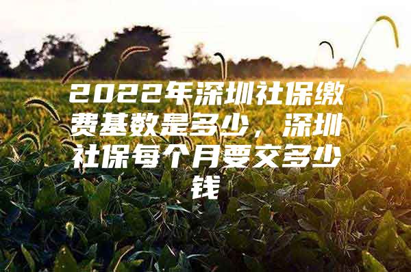 2022年深圳社保缴费基数是多少，深圳社保每个月要交多少钱