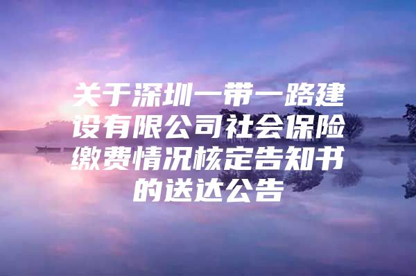 关于深圳一带一路建设有限公司社会保险缴费情况核定告知书的送达公告