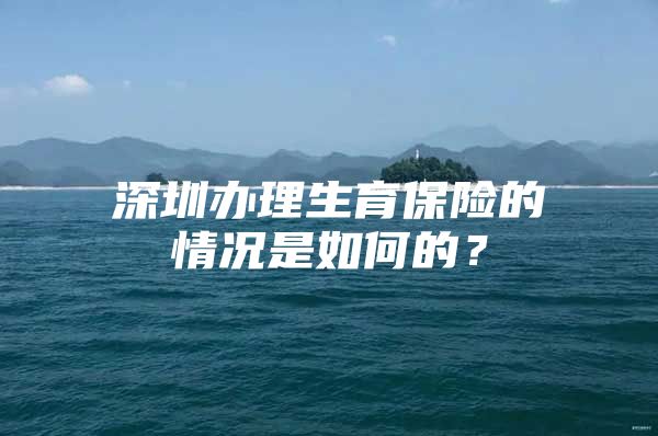 深圳办理生育保险的情况是如何的？