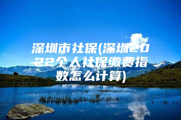 深圳市社保(深圳2022个人社保缴费指数怎么计算)