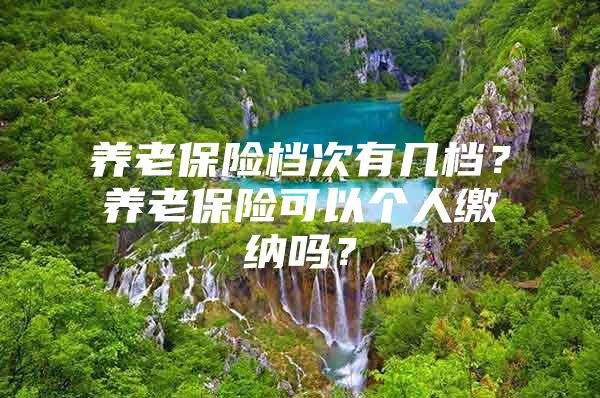 养老保险档次有几档？养老保险可以个人缴纳吗？