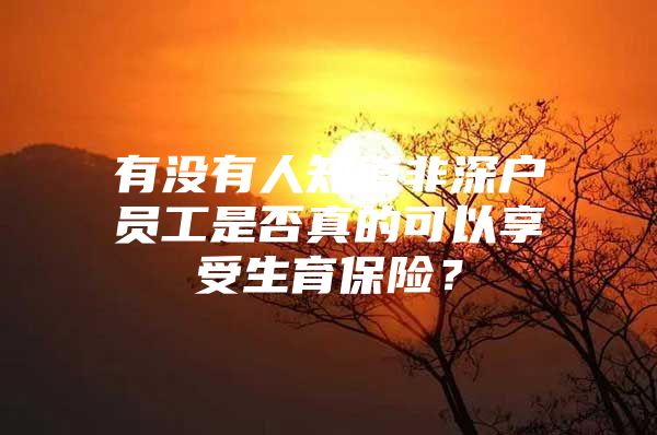 有没有人知道非深户员工是否真的可以享受生育保险？