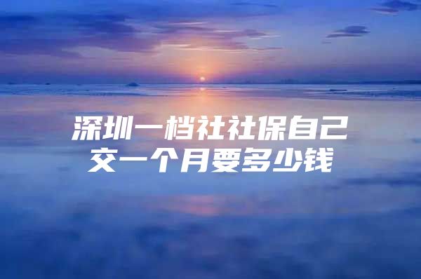 深圳一档社社保自己交一个月要多少钱