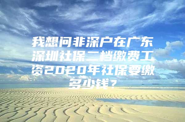 我想问非深户在广东深圳社保二档缴费工资2020年社保要缴多少钱？