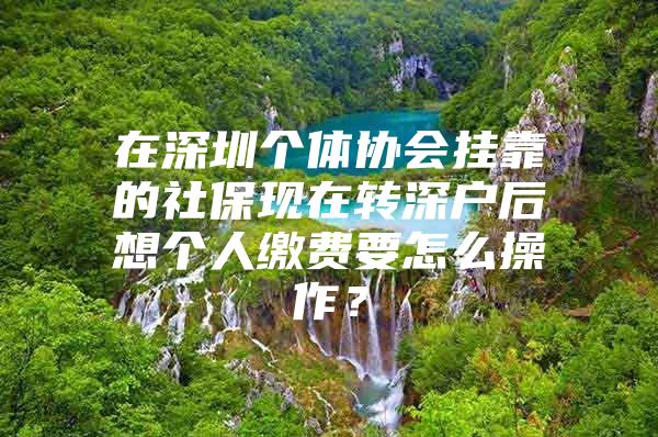 在深圳个体协会挂靠的社保现在转深户后想个人缴费要怎么操作？