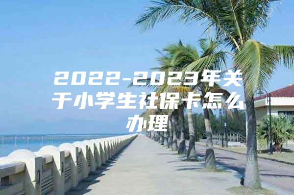 2022-2023年关于小学生社保卡怎么办理