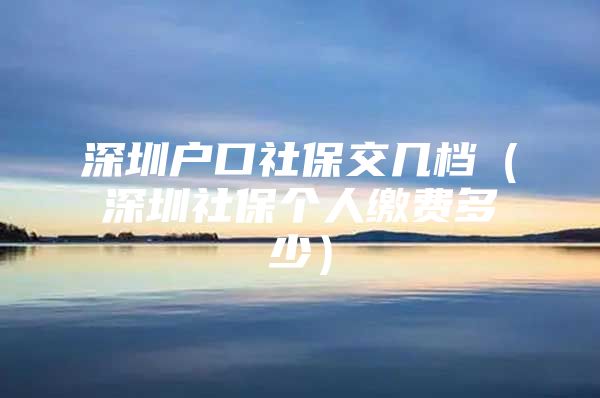 深圳户口社保交几档（深圳社保个人缴费多少）