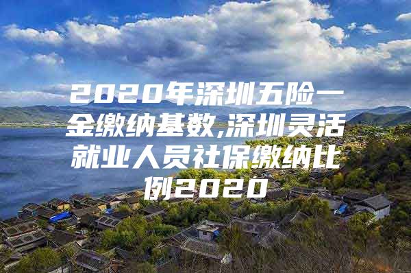 2020年深圳五险一金缴纳基数,深圳灵活就业人员社保缴纳比例2020