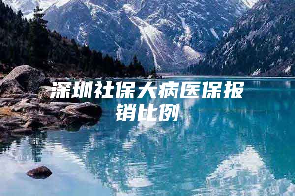 深圳社保大病医保报销比例