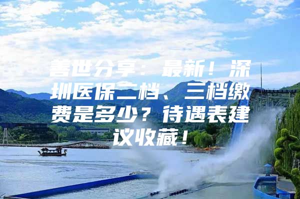 善世分享：最新！深圳医保二档、三档缴费是多少？待遇表建议收藏！