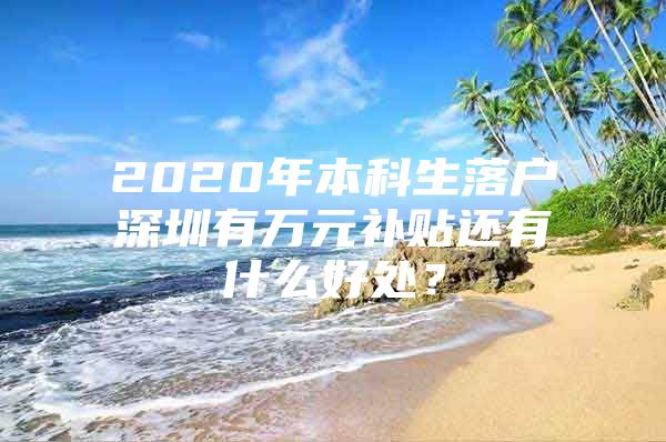 2020年本科生落户深圳有万元补贴还有什么好处？