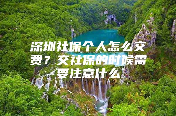 深圳社保个人怎么交费？交社保的时候需要注意什么