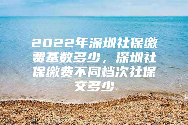 2022年深圳社保缴费基数多少，深圳社保缴费不同档次社保交多少