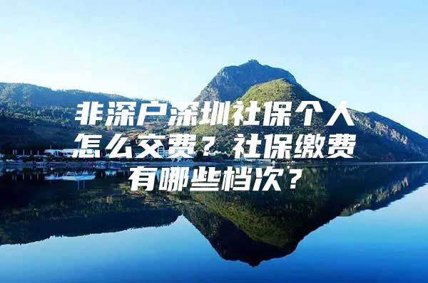 非深户深圳社保个人怎么交费？社保缴费有哪些档次？