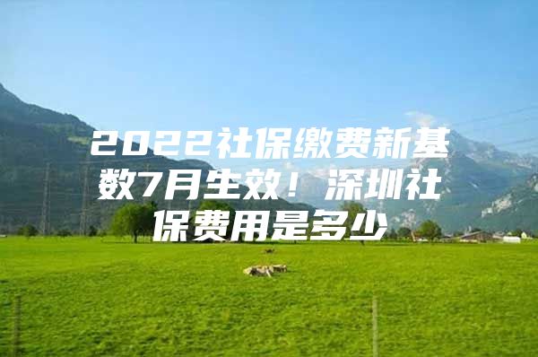 2022社保缴费新基数7月生效！深圳社保费用是多少