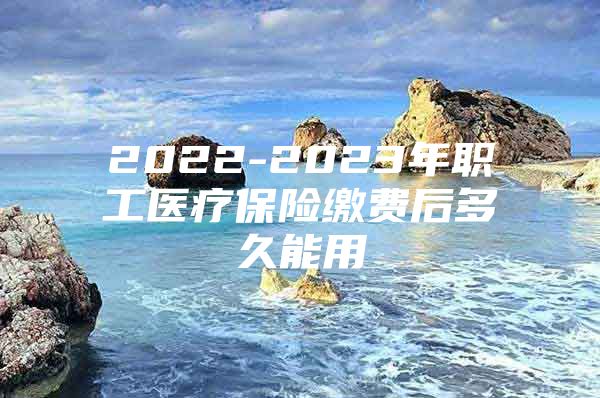 2022-2023年职工医疗保险缴费后多久能用