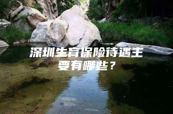 深圳生育保险待遇主要有哪些？