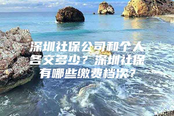 深圳社保公司和个人各交多少？深圳社保有哪些缴费档次？