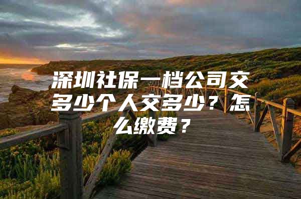 深圳社保一档公司交多少个人交多少？怎么缴费？