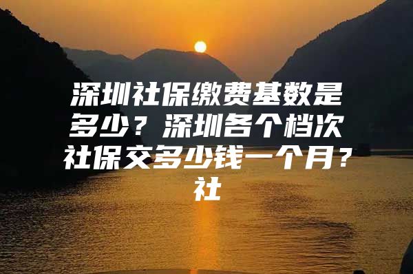 深圳社保缴费基数是多少？深圳各个档次社保交多少钱一个月？社