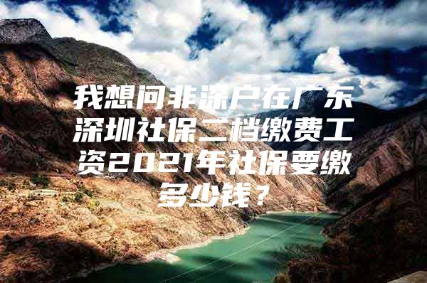 我想问非深户在广东深圳社保二档缴费工资2021年社保要缴多少钱？