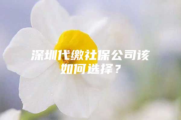 深圳代缴社保公司该如何选择？