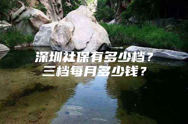 深圳社保有多少档？三档每月多少钱？