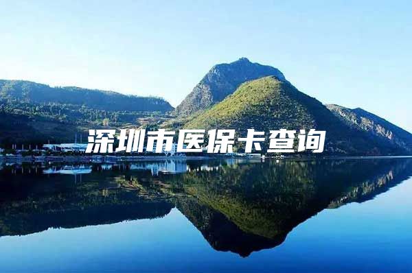 深圳市医保卡查询