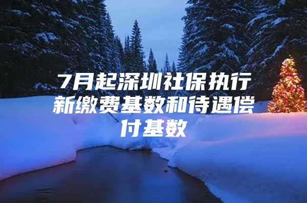 7月起深圳社保执行新缴费基数和待遇偿付基数