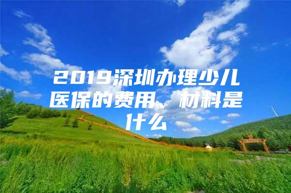 2019深圳办理少儿医保的费用、材料是什么