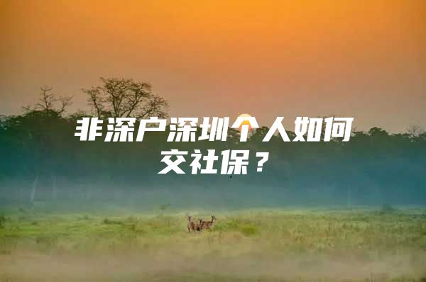 非深户深圳个人如何交社保？