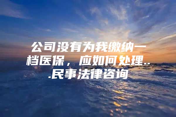 公司没有为我缴纳一档医保，应如何处理...民事法律咨询