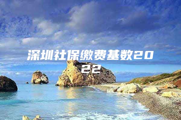 深圳社保缴费基数2022