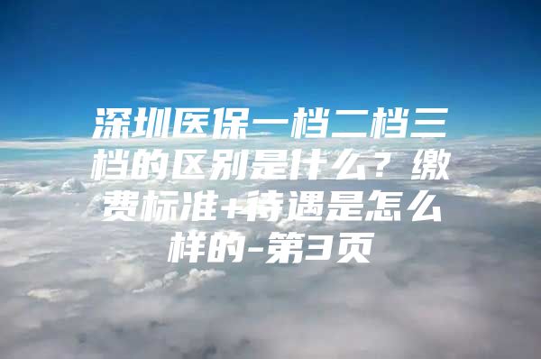 深圳医保一档二档三档的区别是什么？缴费标准+待遇是怎么样的-第3页