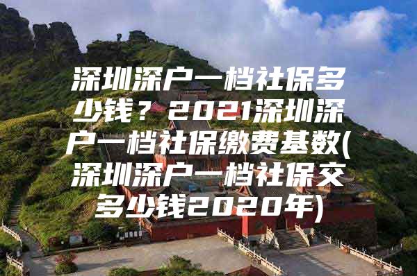 深圳深户一档社保多少钱？2021深圳深户一档社保缴费基数(深圳深户一档社保交多少钱2020年)