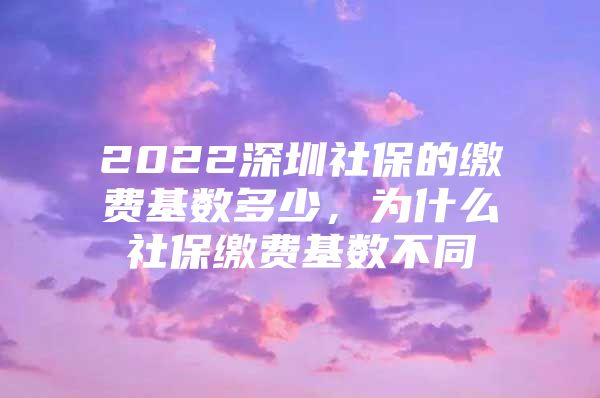 2022深圳社保的缴费基数多少，为什么社保缴费基数不同