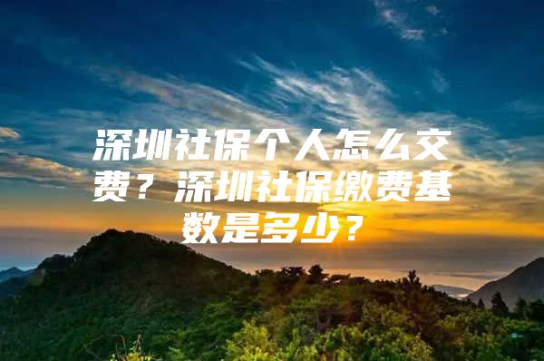 深圳社保个人怎么交费？深圳社保缴费基数是多少？